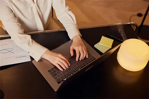 岳州电厂相关公司介绍