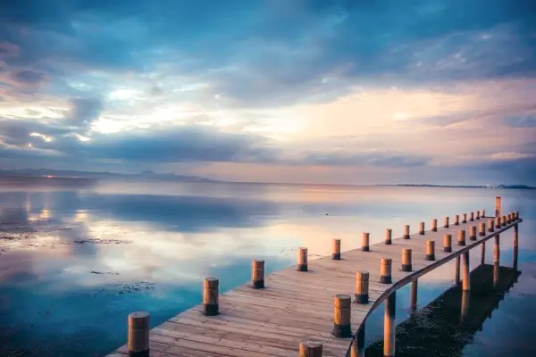 网上怎么查企业历史